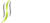 swastik